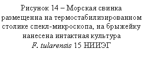 Подпись: