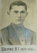 Шкурко В