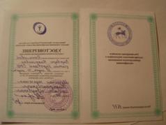 F:\DCIM\100OLYMP\P1010065.JPG