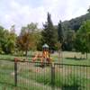 dvor