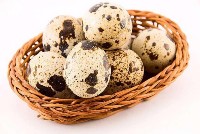 Описание: http://*****/images/p17_yayco.jpg