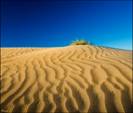 http://www.blyg.de/ljpics/07_06_05/Desert_8.jpg