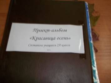 100_0102.JPG