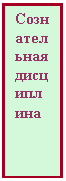 Подпись: Сознательная дисциплина