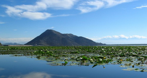 Skadarsko_lake
