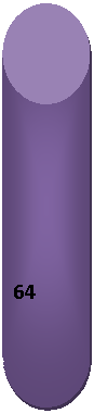 �������: 64

