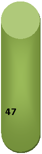 �������: 47

