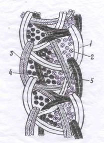 �4