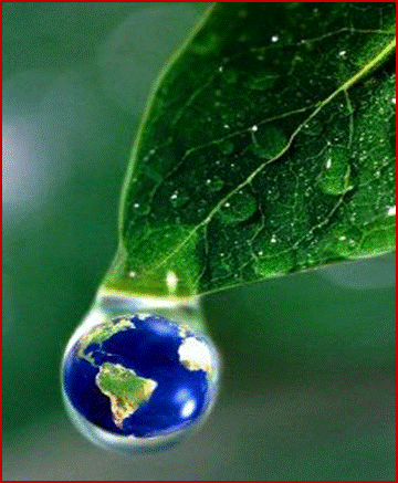 http://*****/images/9/92/80509_2486_t.jpg