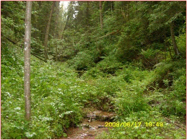 G:\����\SN851886.JPG