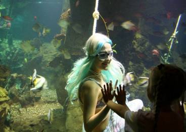 okeanarium_parka_rivera