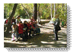 IMG_0919.jpg