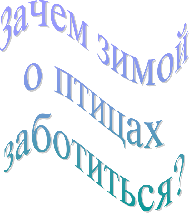 Зачем зимой
о птицах
заботиться?