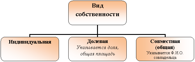 Организационная диаграмма