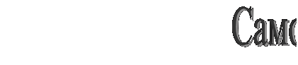 �������: 