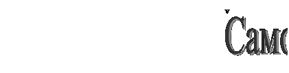 �������: