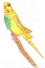 C50E2E9A