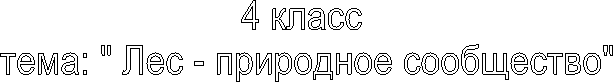 4 класс
тема: " Лес - природное сообщество"