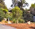 sydney_P5080008_300.jpg
