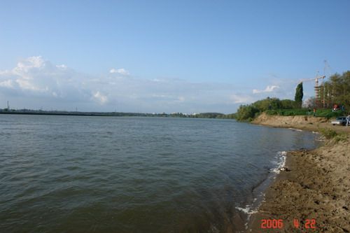 Картинка 19 из 1538