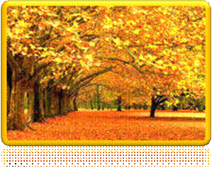 i?id=1-72&n=21
