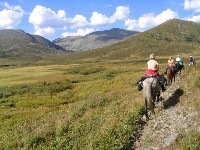 ����������� � ������ �����. ������� � 000, �����-������.