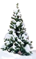 http://*****/fon/clipart/e/elka/elky45.jpg