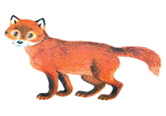 http://*****/fon/clipart/l/lisa/lisy02.jpg