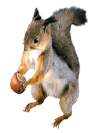 http://*****/fon/clipart/b/bel/belka18.jpg