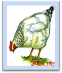 http://im2-tub.yandex.net/i?id=&tov=2