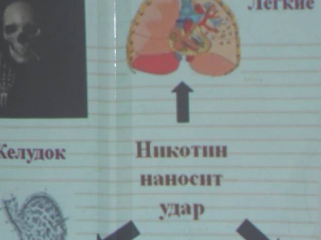 Описание: C:\Users\user\Desktop\Новая папка\DSCN0544.JPG