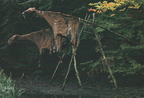 http://*****/images/origin1.jpg