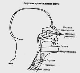 http://*****/praktika/f3.jpg