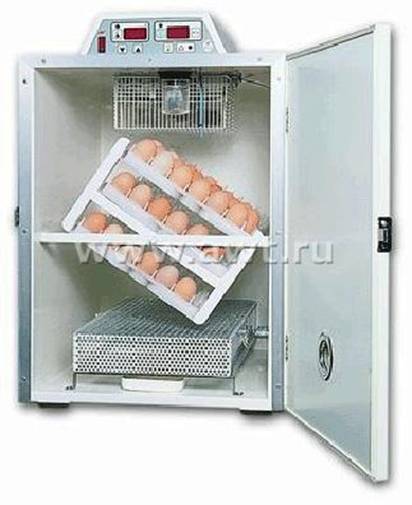 инкубатор тип 25