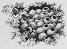 http://*****/great-soviet-encyclopedia/009/001/.jpg