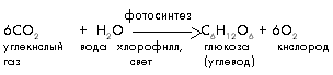 http://*****/2001/31/42.gif