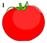 tomato3145.png