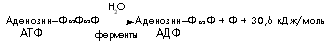 http://*****/2001/34/38.gif