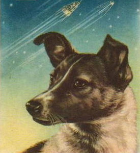 http://*****/img/sp/indiana/indy4_57_01_laika.jpg