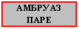 Подпись: АМБРУАЗ ПАРЕ