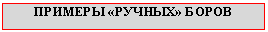 �������: