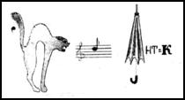 ����� Image5