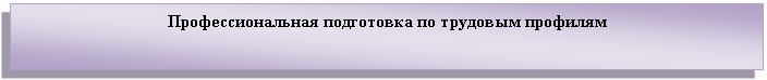 Подпись: Профессиональная подготовка по трудовым профилям