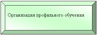 Багетная рамка: Организация профильного обучения
