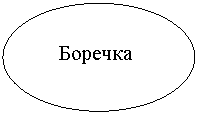 ����: �������

