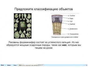 http://*****/wiki/images/thumb/9/94/Bio10.JPG/300px-Bio10.JPG