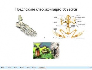 http://*****/wiki/images/thumb/d/dd/Bio11.JPG/300px-Bio11.JPG