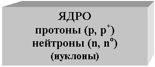 �������: ����

������� (�, �+)

�������� (n, no) 

(�������) 

