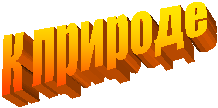 � �������