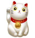 Описание: кот